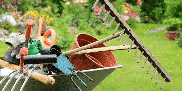 entretenir son jardin